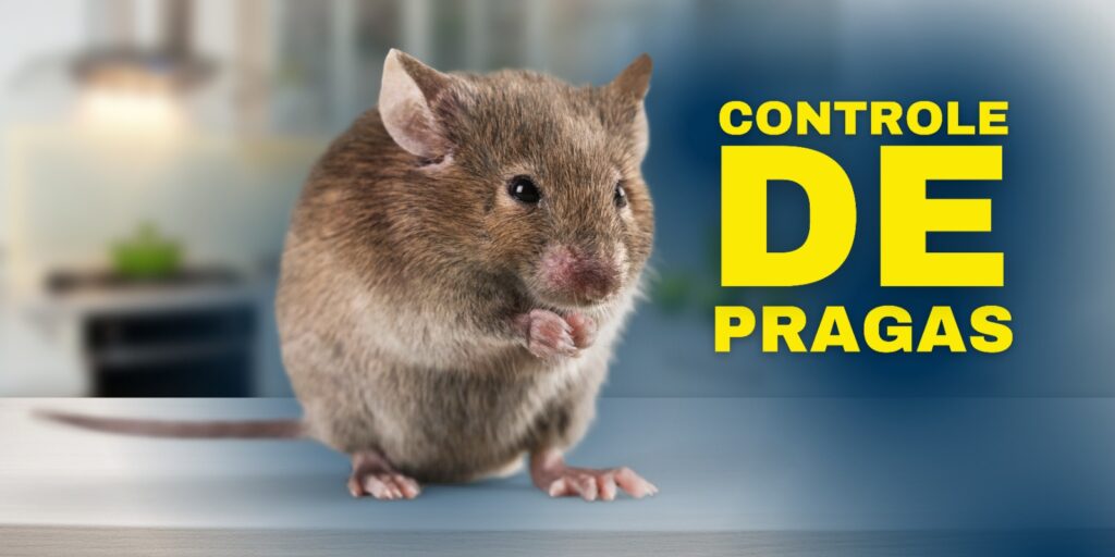 Imagem do WhatsApp de 2023-11-22 à(s) 14.46.39_90961d3b